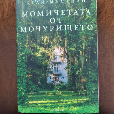 The Girls in the Stilt House book cover
