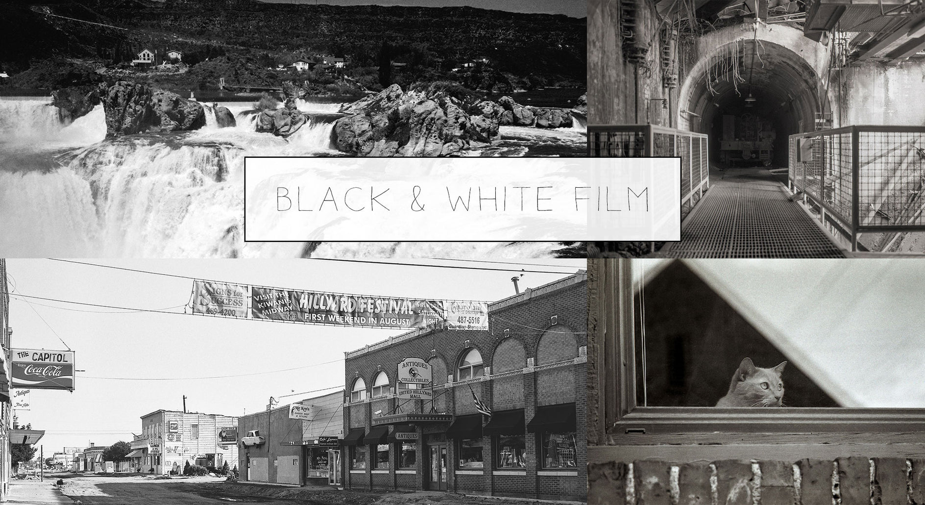 Black and White Film Photography by Amber Katya Anderson