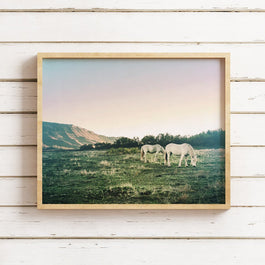 White Horses Photography Print, Colorado Sunset Wall Art