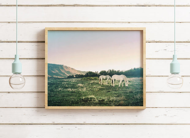 White Horses Photography Print, Colorado Sunset Wall Art