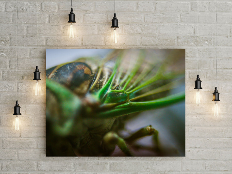 A vibrant green cicada closeup printed on square canvas showcasing detailed wings and eyes from oak mountain state park