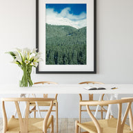 Colorado Treeline, Winter Scene Photography Print
