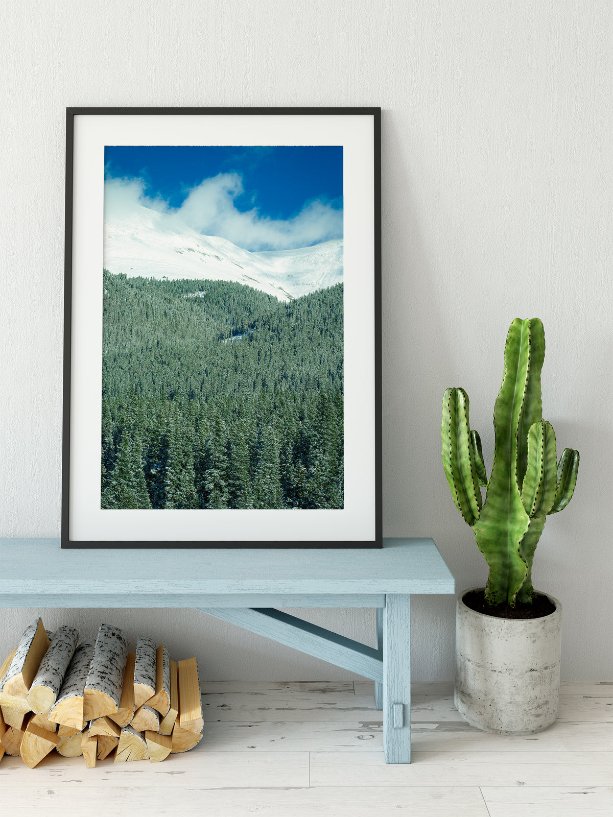 Colorado Treeline, Winter Scene Photography Print