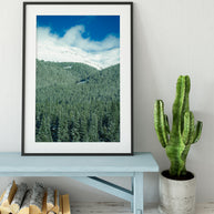 Colorado Treeline, Winter Scene Photography Print