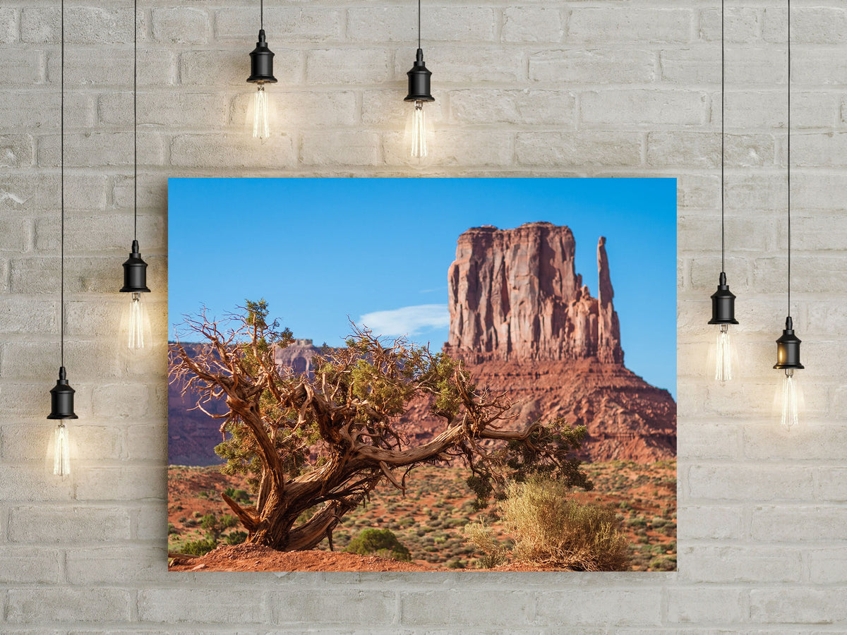 Monument Valley Photo Print, Juniper Tree, Arizona Wall Art