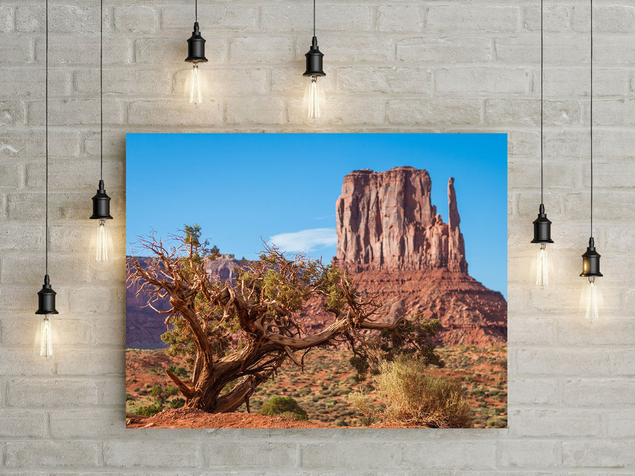 Monument Valley Photo Print, Juniper Tree, Arizona Wall Art