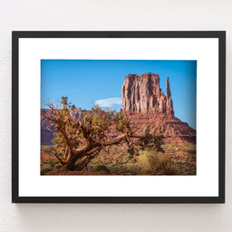 Monument Valley Photo Print, Juniper Tree, Arizona Wall Art