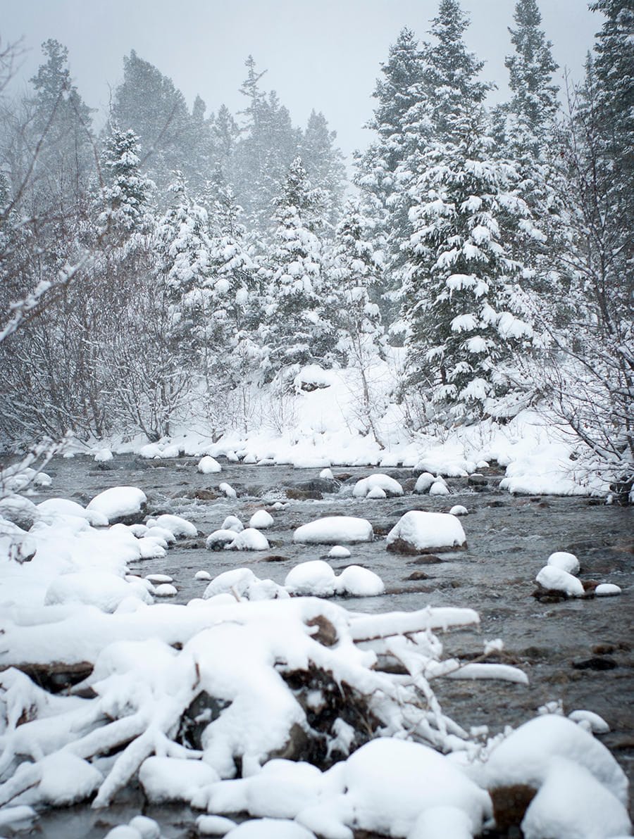 Snowy River Christmas Wall Art Colorado Photography Fine Art Print