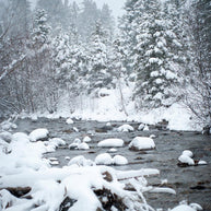 Snowy River Christmas Wall Art Colorado Photography Fine Art Print