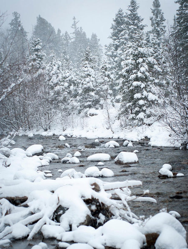 Snowy River Christmas Wall Art Colorado Photography Fine Art Print