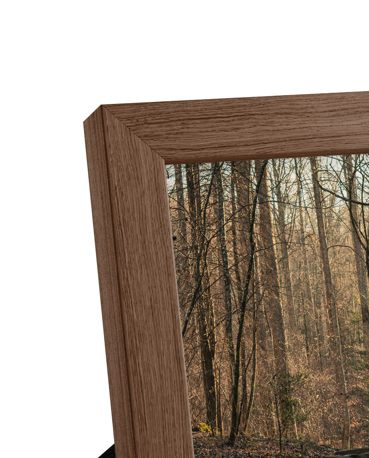 Frame Any Photo in the Shop - Lost Kat Photography
