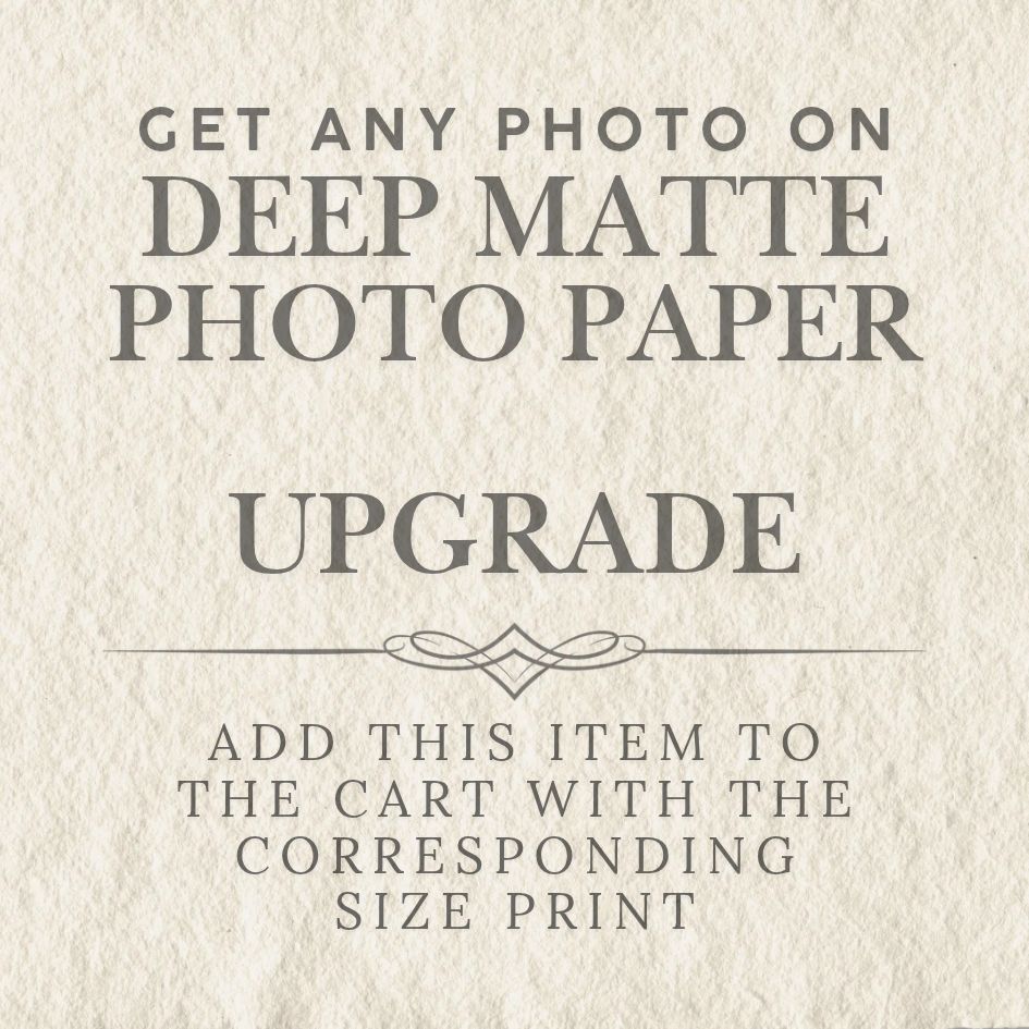 Photograph Add-On, Deep Matte Paper - Black and White Only