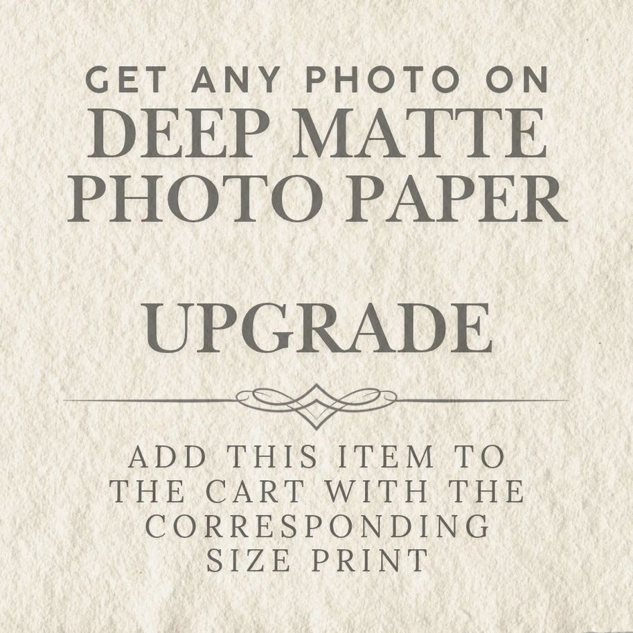 Photograph Add-On, Deep Matte Paper - Black and White Only