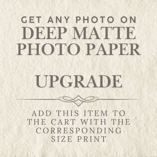 Photograph Add-On, Deep Matte Paper - Black and White Only