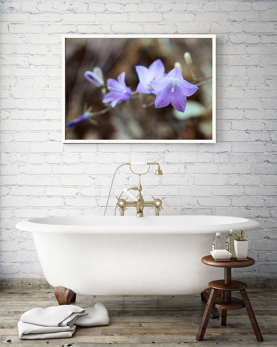 Bluebell Photo Print, Floral Photography, Nature Wall Art, Purple Decor, Botanical Art