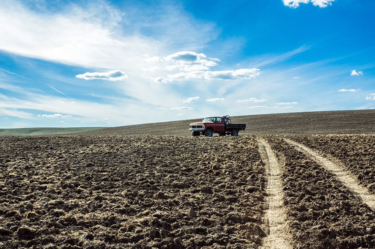 Old Farm Truck Photo Print, Farmhouse Decor, Palouse Washington, Cloudy Sky, Country Western Decor