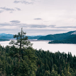 Heyburn State Park Photo Print, Idaho Lake, Forest, Mountain Wall Art