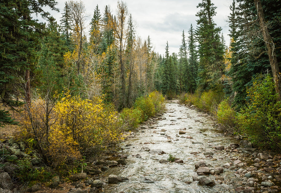 Colorado River in Autumn Nature Photo Print - Photography