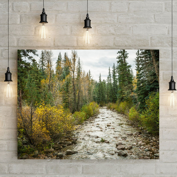 Colorado River in Autumn Nature Photo Print - Photography