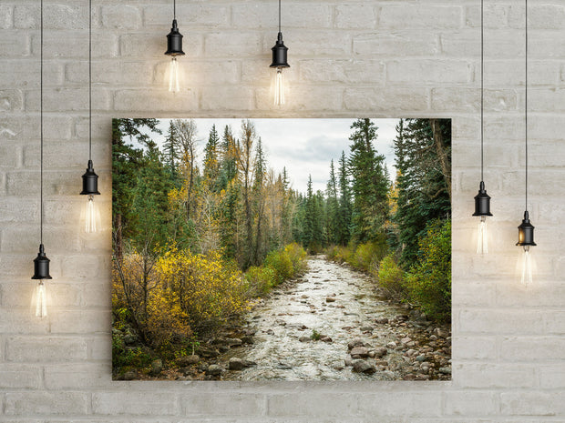 Colorado River in Autumn Nature Photo Print - Photography