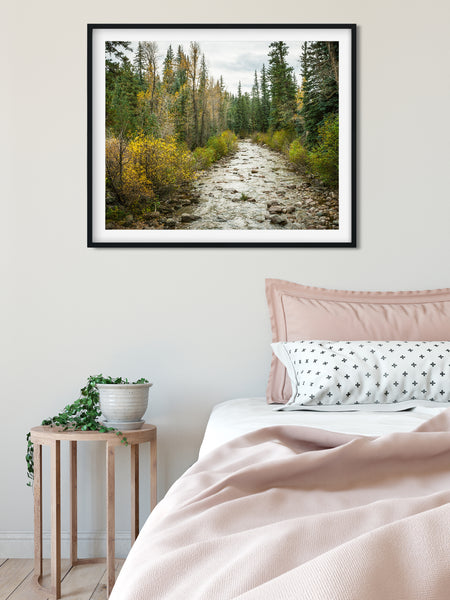 Colorado River in Autumn Nature Photo Print - Photography