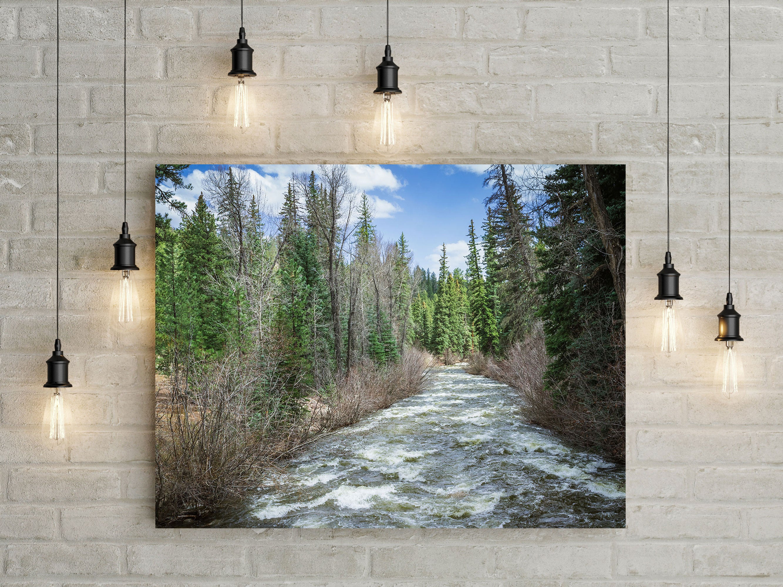 Colorado River in Spring Nature Photo Print - Photography