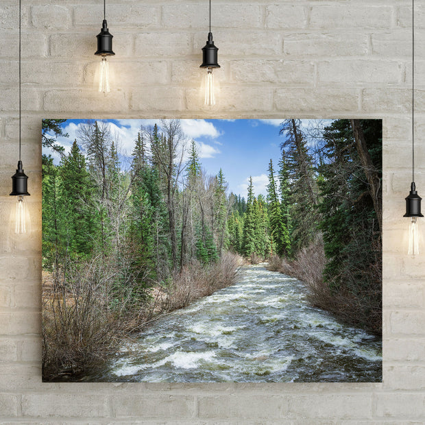 Colorado River in Spring Nature Photo Print - Photography