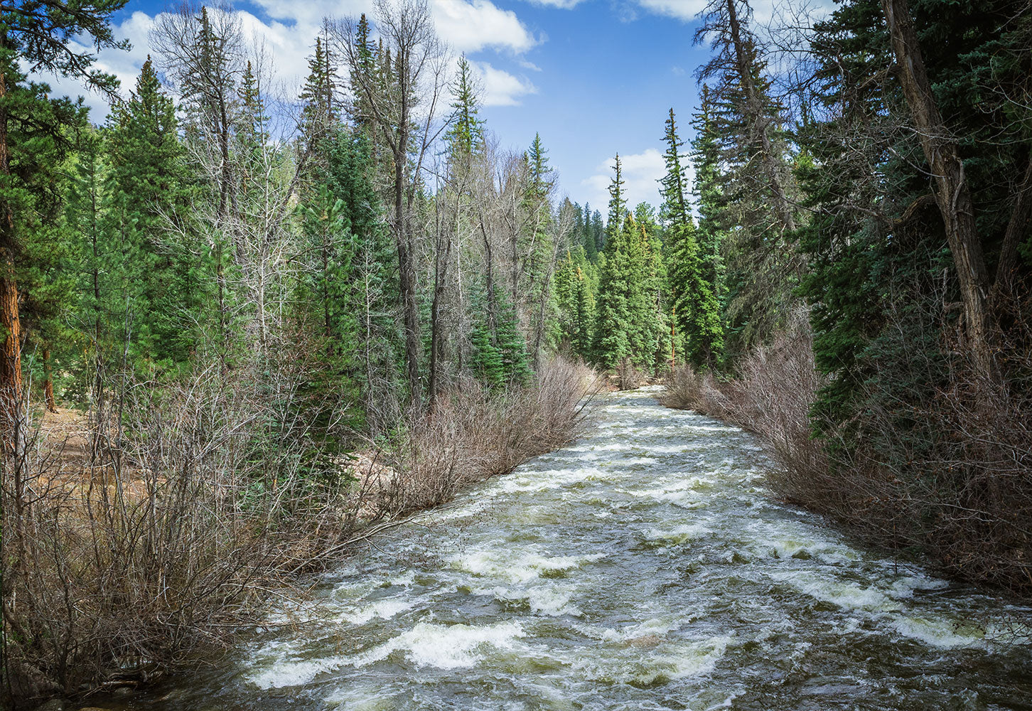 Colorado River in Spring Nature Photo Print - Photography