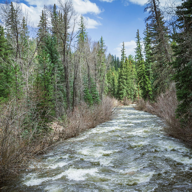 Colorado River in Spring Nature Photo Print - Photography