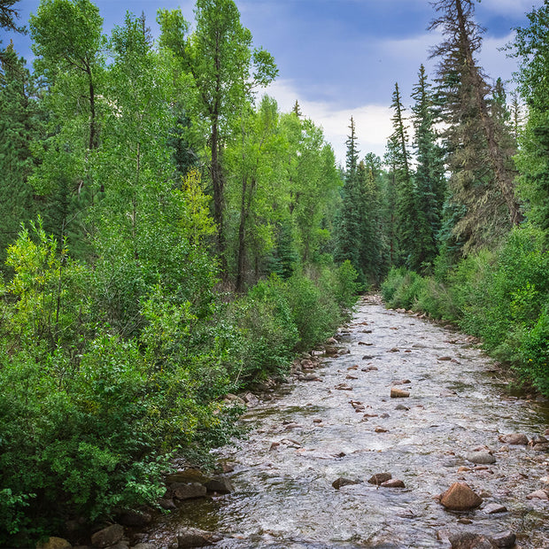 Colorado River in Summer Nature Photo Print - Photography