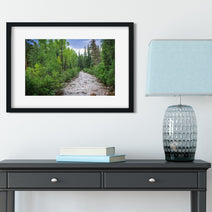 Colorado River in Summer Nature Photo Print - Photography