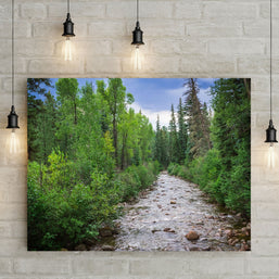 Colorado River in Summer Nature Photo Print - Photography
