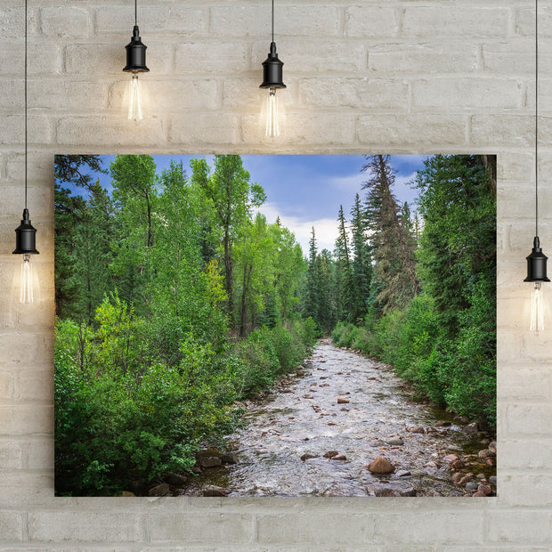 Colorado River in Summer Nature Photo Print - Photography