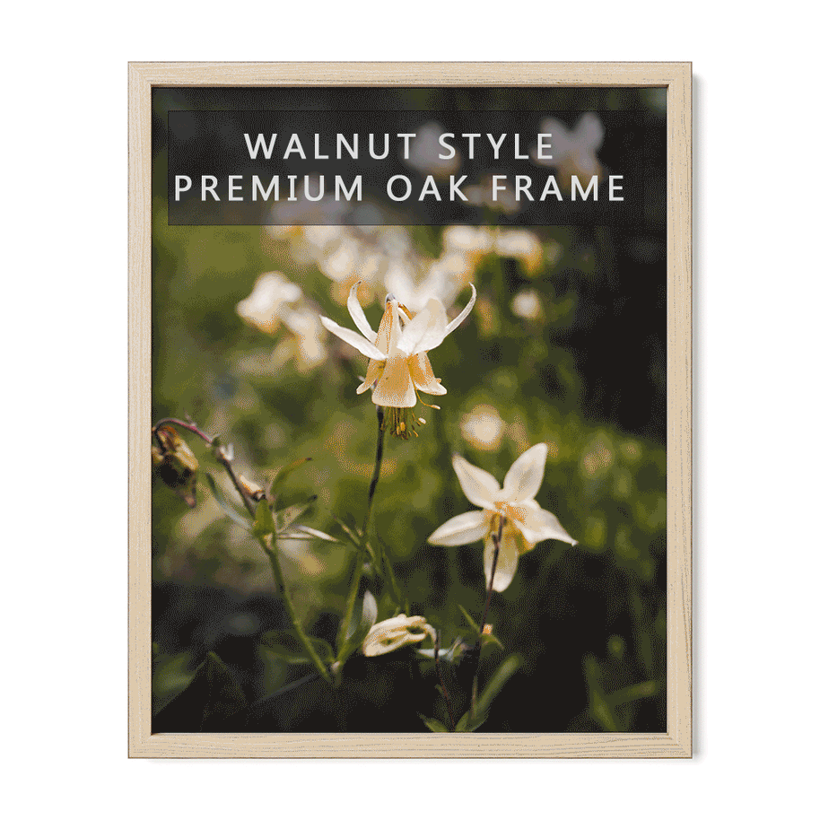 Frame Any Photo in the Shop - Lost Kat Photography