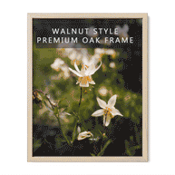 Frame Any Photo in the Shop - Lost Kat Photography