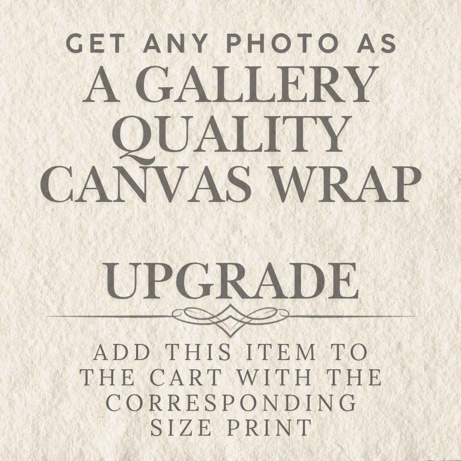 Photography Add-on - Gallery Quality Canvas Wrap