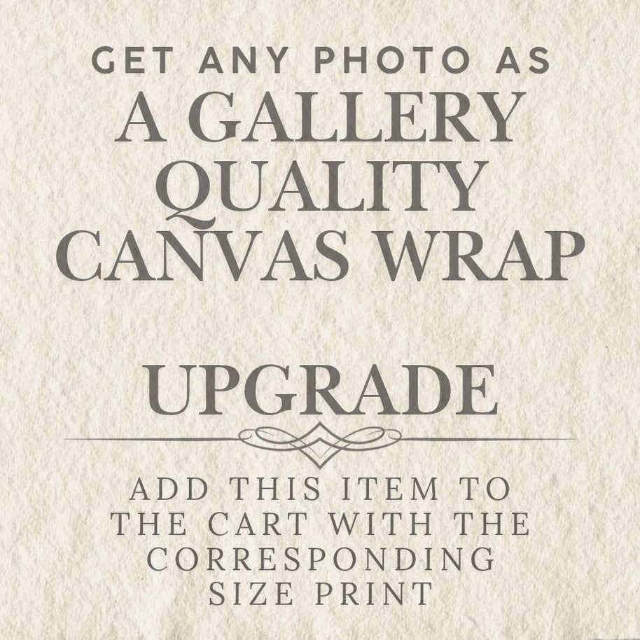 Photography Add-on - Gallery Quality Canvas Wrap