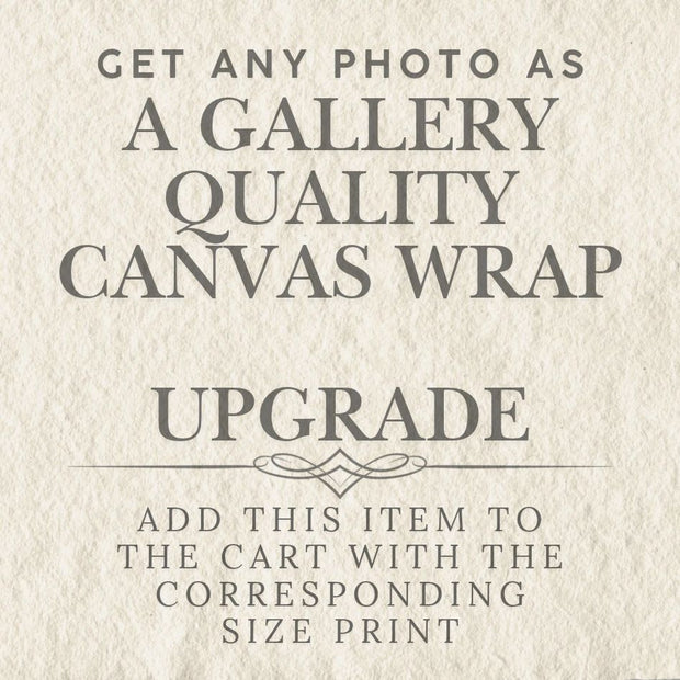 Photography Add-on - Gallery Quality Canvas Wrap