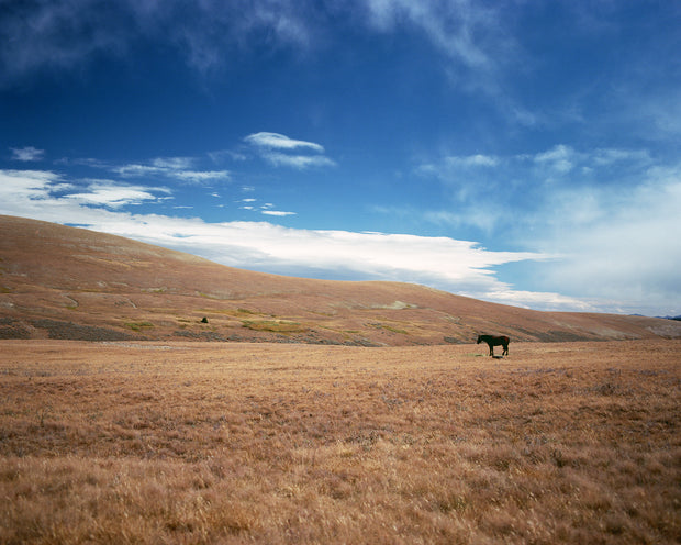 Wyoming - Western Photography Print or Canvas Wrap, Western Landscape