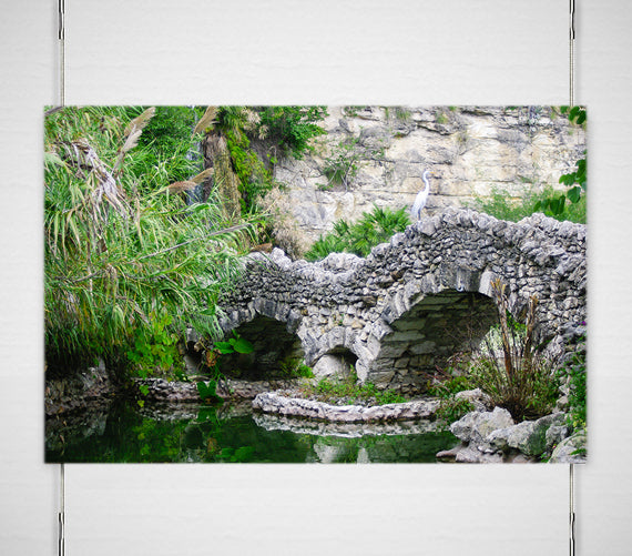 Ishibashi and Egret Peaceful Photo Print - Serene Nature
