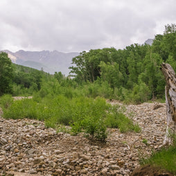 Summertime Mountain River View Photo Print | Canvas -