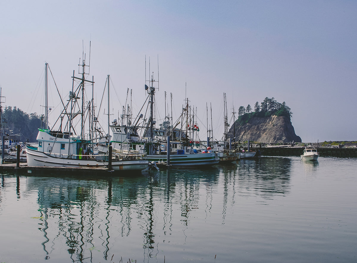 La Push Marina Photography Print | Olympic National Forest