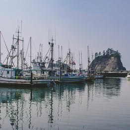 La Push Marina Photography Print | Olympic National Forest