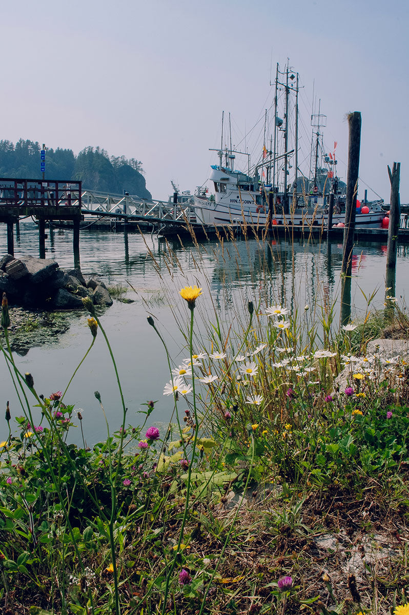 Wildflower Marina Photography Print | La Push Washington