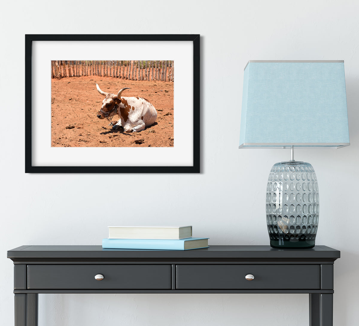 Black-framed longhorn in arizona western photography print on photo paper showing white and brown cow resting on reddish dirt