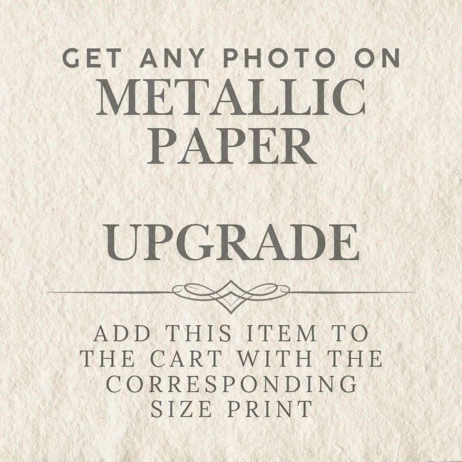 Photograph Add-On, Metallic Paper