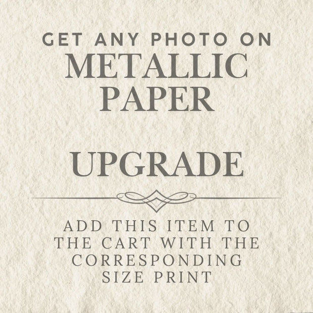 Photograph Add-On, Metallic Paper