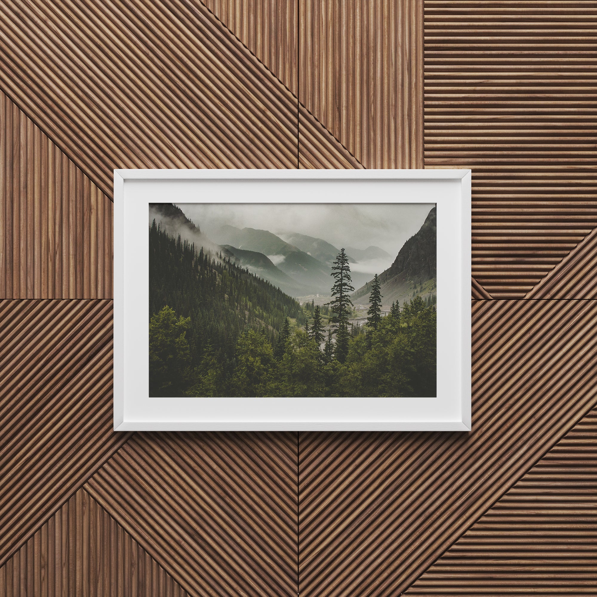 Colorado Mountain Valley Photo Print Nature Photography