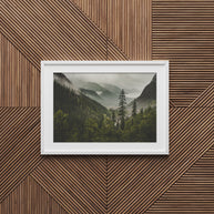 Colorado Mountain Valley Photo Print Nature Photography