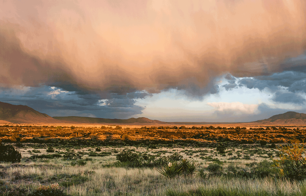 Storm Over New Mexico Photo Print | Canvas Print